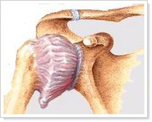 Chandler Frozen Shoulder Chiropractors