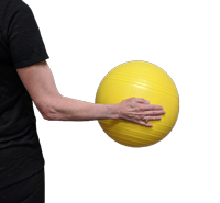 Ball on the Wall Exercise Series