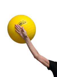 Ball on the Wall Exercise Series