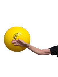Ball on the Wall Exercise Series