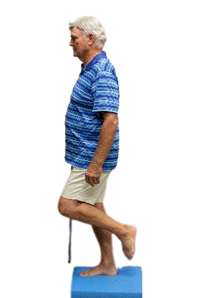 chronic low back pain