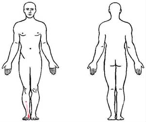 extensor hallucis longus trigger point