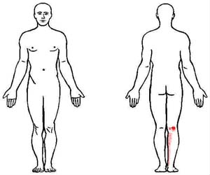 gastrocnemius trigger point