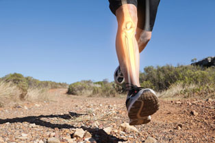 highlighted leg bones jogging