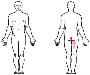 obturator internus trigger point