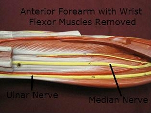 thumb neuropathy